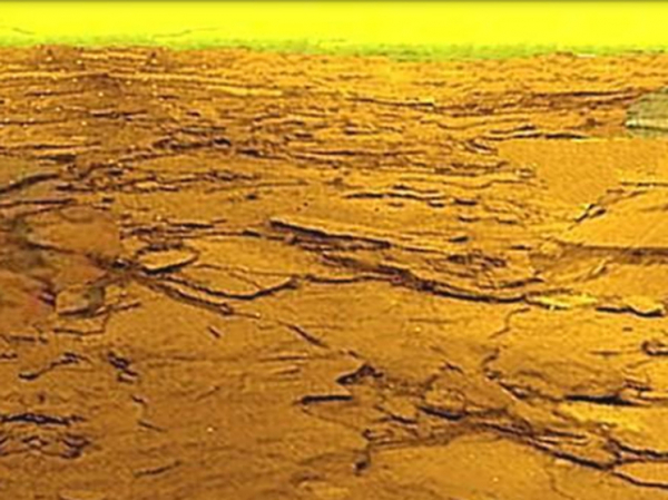 Академик Зеленый рассказал, какой может быть жизнь на Венере