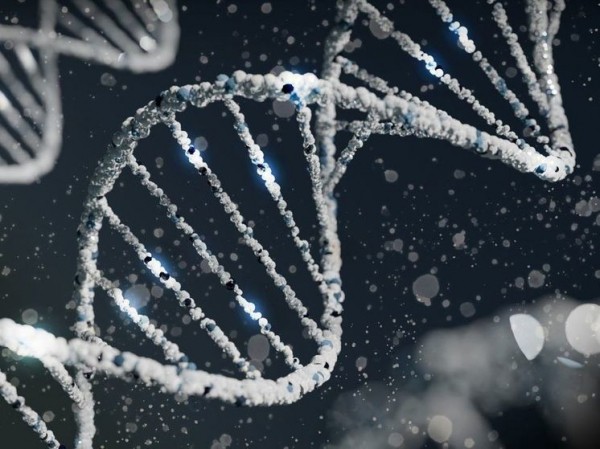 Особенности брака в таинственной империи были выявлены с помощью анализа ДНК