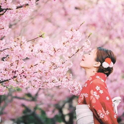 Турецкую авиакомпанию заподозрили в том, что она российская Турецкую авиакомпанию заподозрили в том, что она российская