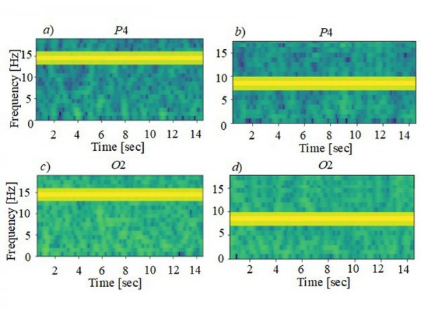 Уникальное российское исследование: личность человека определили по силе его мыслей