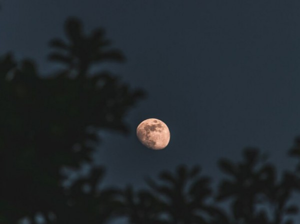 Бег по Луне боком стал ключом к важному открытию