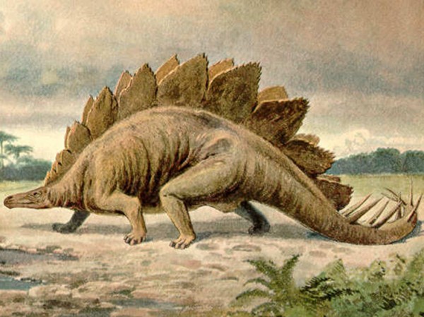 «Практически полную» окаменелость стегозавра выставили на продажу: до 6 миллионов долларов