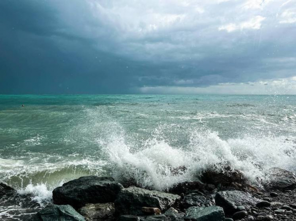 Сотни ученых предсказали скорые катастрофические последствия глобального потепления для человечества