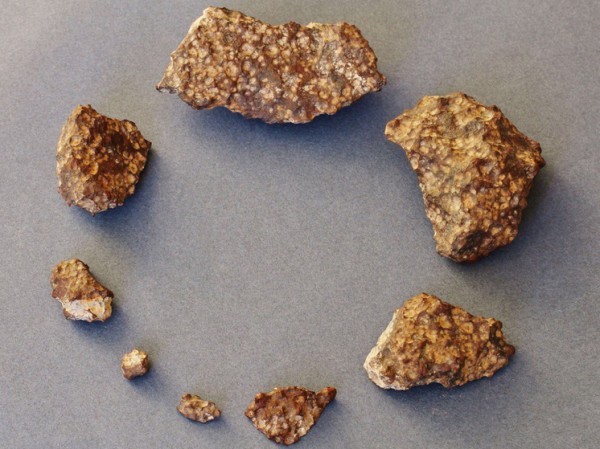 Загадочный состав: российские ученые определили уникальность двух найденных метеоритов