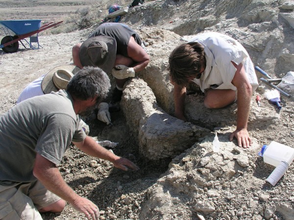 Обнаружены останки загадочно убитой 2000 лет назад девушки