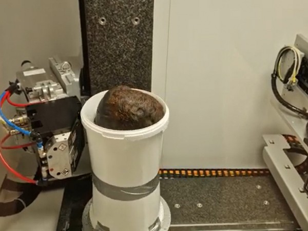 Сканирование тайно завезенного на территорию университета трупа выявило детали жизни и смерти