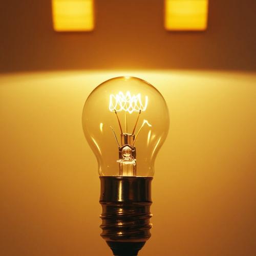 Электрический «гусь» Электрический «гусь»