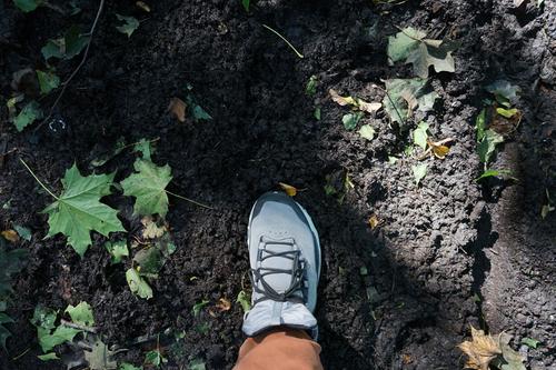 Специалисты назвали экотропу в Ленобласти одной из самых красивых в России Специалисты назвали экотропу в Ленобласти одной из самых красивых в России