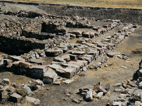 Названо удивительное время основания первой торговой компании в мире: несколько тысяч лет назад