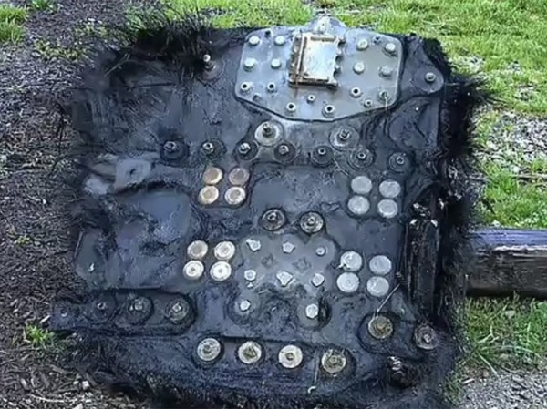 Идентифицирован совершивший аварийную посадку «волосатый НЛО»: «Такое бывает раз в жизни»