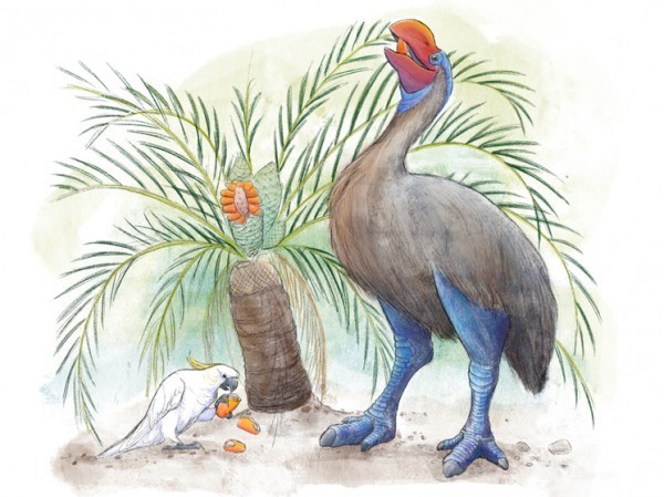 Обнаружен редкий череп исчезнувшего крупного существа с мускулистыми ногами