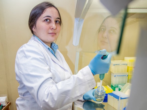 Российские ученые позолотили пшеницу