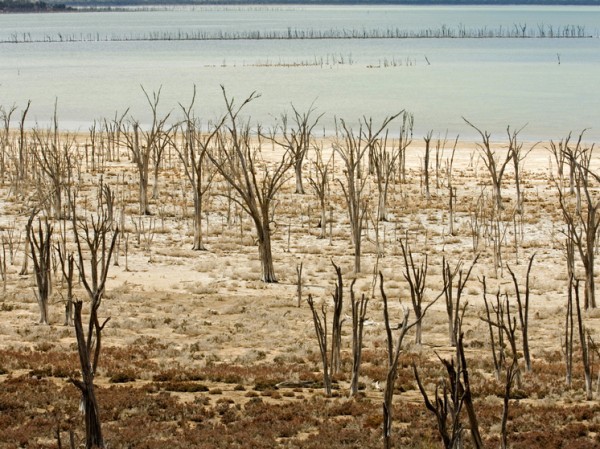 Игра в русскую рулетку с климатом: названы сроки, когда температура на Земле станет запредельной