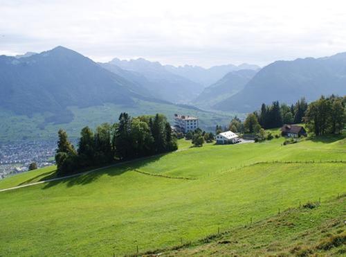 «Мирная» конференция в Швейцарии — провал задолго до начала «Мирная» конференция в Швейцарии — провал задолго до начала