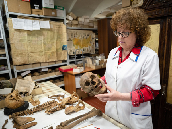 Сибирские ученые выяснили, чем болели люди 300 лет назад