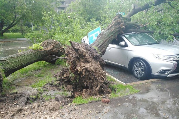 Ученые назвали причину десятибалльного шторма в Москве