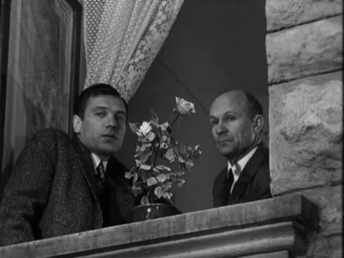 Зеленский не заметил цветочного горшка на окне