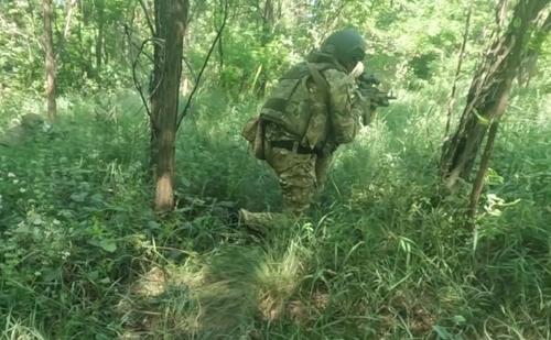 Группировка «Север» взяла в плен солдат врага Группировка «Север» взяла в плен солдат врага