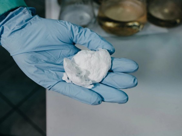 Красноярские ученые создали биоразлагаемый пластик из рыбы