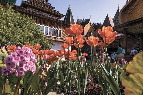 ЧП на Северной железной дороге ЧП на Северной железной дороге