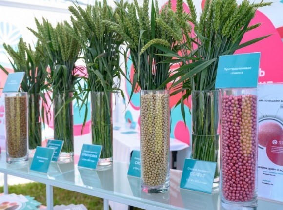 Территория рекордов российского сельского хозяйства Территория рекордов российского сельского хозяйства