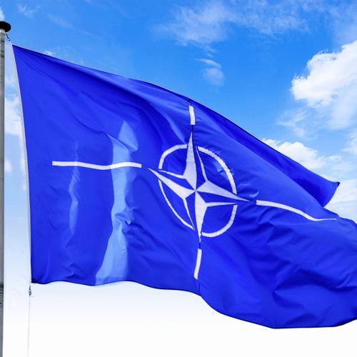 Американские хозяева своему слову Американские хозяева своему слову