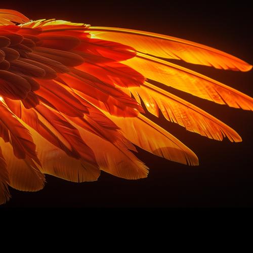 Балет «Жар-птица» закрыл фестиваль «Зарядье» Балет «Жар-птица» закрыл фестиваль «Зарядье»