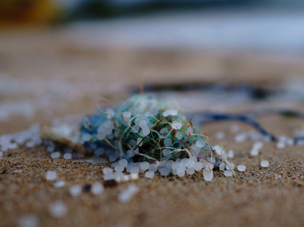 Пермские ученые обучили нейросеть находить микропластик в песке