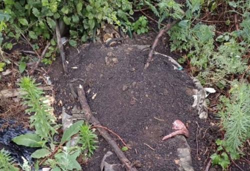 На Запорожском направлении противник отказался от контратак На Запорожском направлении противник отказался от контратак