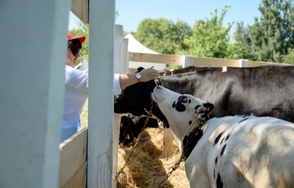 Территория рекордов российского сельского хозяйства Территория рекордов российского сельского хозяйства