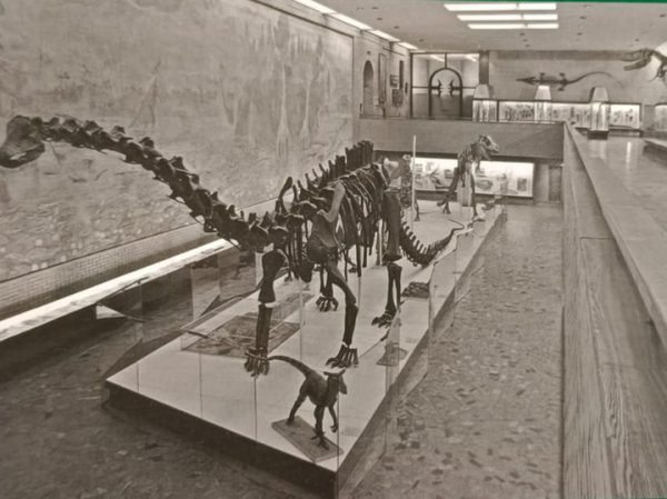 Что скрывала 300-летняя РАН: санкт-петербургские историки раскрыли вековые тайны академии