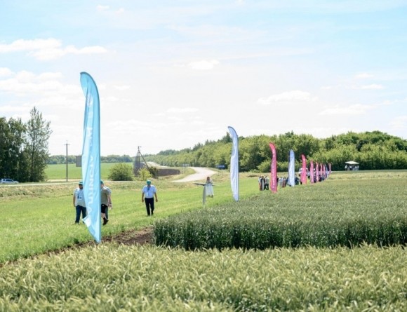 Территория рекордов российского сельского хозяйства Территория рекордов российского сельского хозяйства