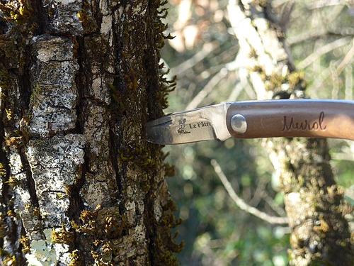 Полиция задержала Альберта Пилосяна — убийцу ветерана СВО, бойца «Группы Вагнер» Полиция задержала Альберта Пилосяна — убийцу ветерана СВО, бойца «Группы Вагнер»