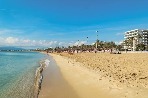 Как попасть на юг России: билет за 200 тыс рублей и пробки на дорогах Как попасть на юг России: билет за 200 тыс рублей и пробки на дорогах