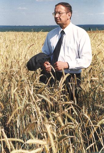 Академик РАН Василий Сысуев: как вернуть рожь на поля России Академик РАН Василий Сысуев: как вернуть рожь на поля России