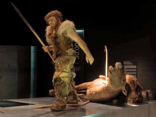 Новый анализ ДНК пролил свет на тайну исчезновения доисторических родственников человека