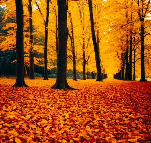 Осторожно, сентябрь: что нам принесет первый месяц осени?  Осторожно, сентябрь: что нам принесет первый месяц осени?