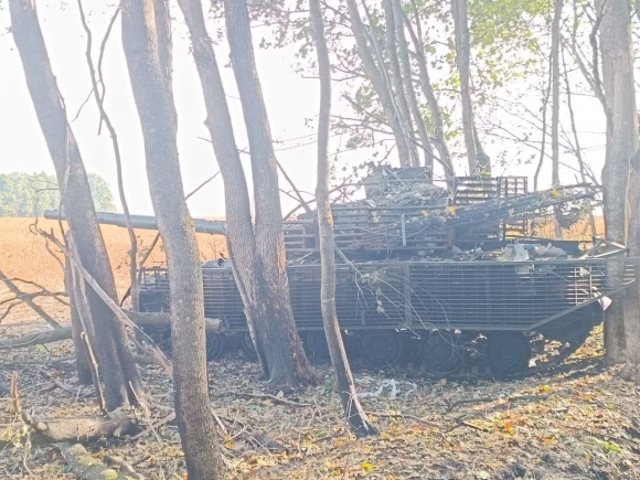 Бабы Яги и змеи не прижились на русской земле Бабы Яги и змеи не прижились на русской земле