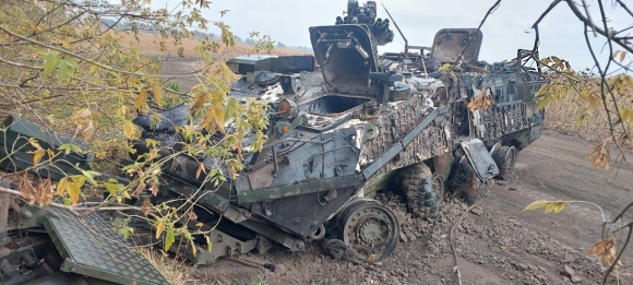 Бабы Яги и змеи не прижились на русской земле Бабы Яги и змеи не прижились на русской земле