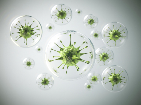 Прозвучало предупреждение о создании армии устойчивых к дезинфицирующим средствам супербактерий: в офисах и школах