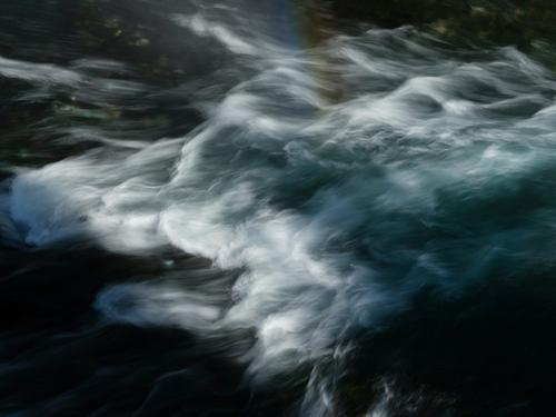 В Новой Зеландии погиб известный спортсмен после встречи с акулой В Новой Зеландии погиб известный спортсмен после встречи с акулой