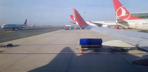 Скидка детям 50% на проезд в поезде теперь круглый год