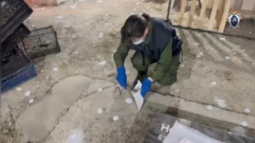 При отравлении на Ставрополье семьи химикатами умерла восьмилетняя девочка, ее брат - в реанимации При отравлении на Ставрополье семьи химикатами умерла восьмилетняя девочка, ее брат - в реанимации