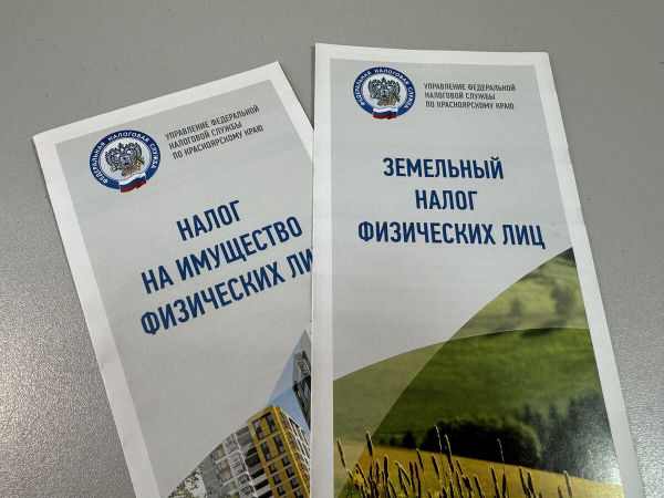 Как получить перерасчет налога, рассказали в налоговой службе