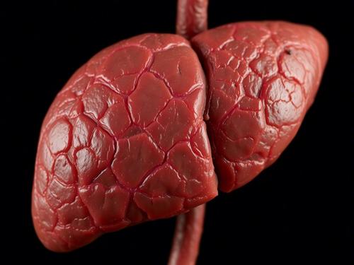 Печень нагружают бесполезными диетами