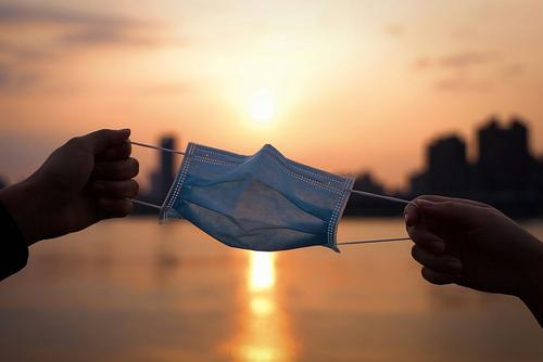 Вирус птичьего гриппа активно распространяется среди домашних кошек Вирус птичьего гриппа активно распространяется среди домашних кошек